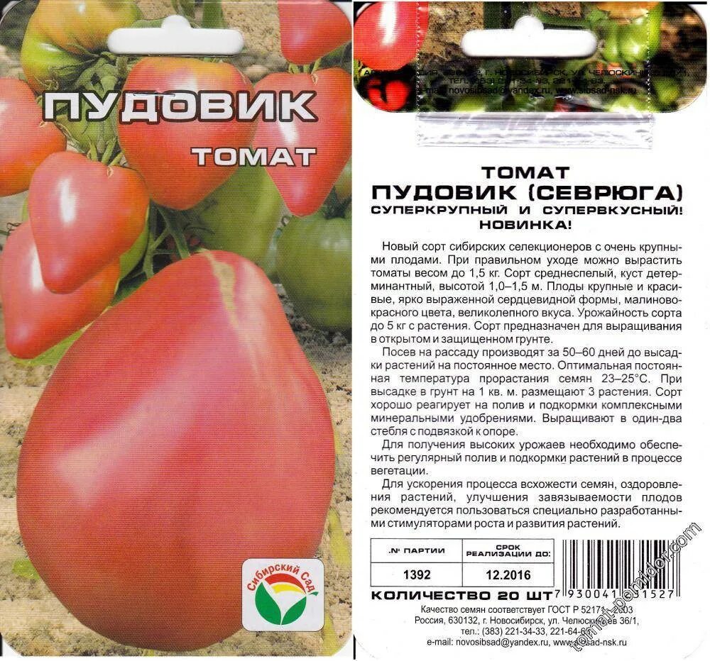 Томат штамбовый король урожайность. Томат Пудовик Сибирский сад. Томат Пудовик севрюга. Томат медовый пудовичок. Томат Пудовик характеристика.