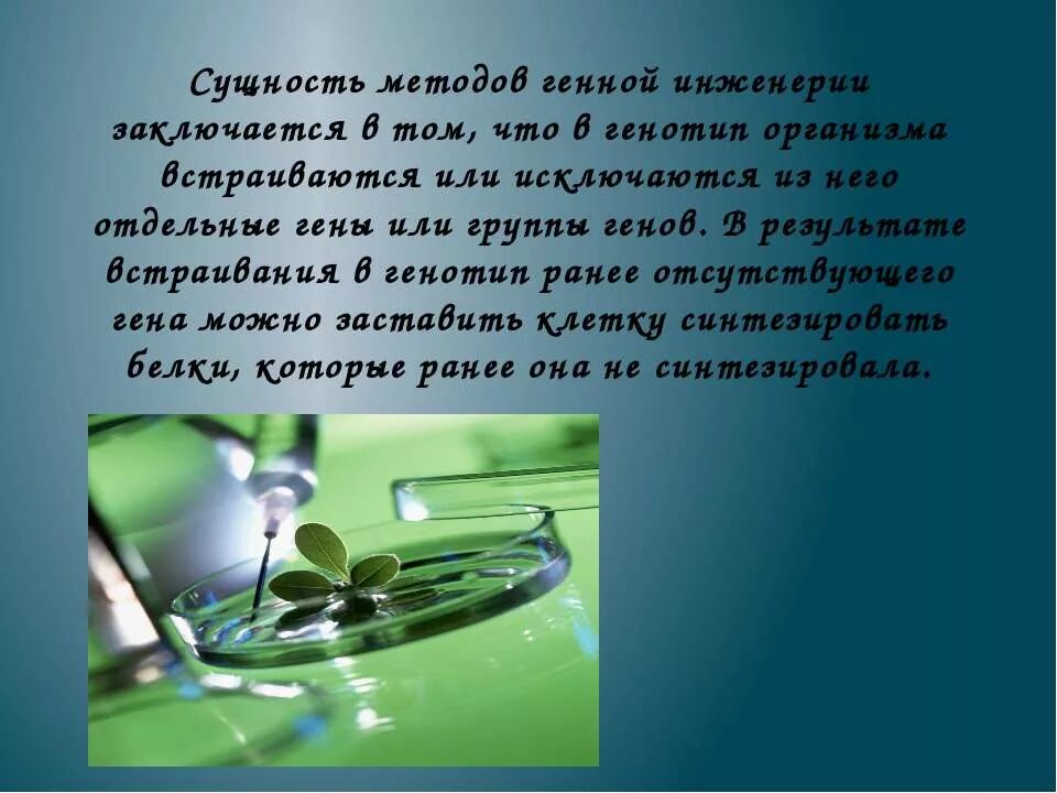 Биотехнология клеточная и генная. Генная инженерия в биотехнологии. Генная инженерия сущность метода. Метод генной инженерии в биологии. Клеточная инженерия в биотехнологии.