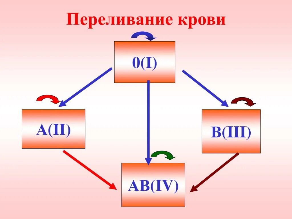 Схема переливания групп крови. Группы крови и схема переливания крови. Группы крови переливание. Схема совместимости групп крови при переливании.