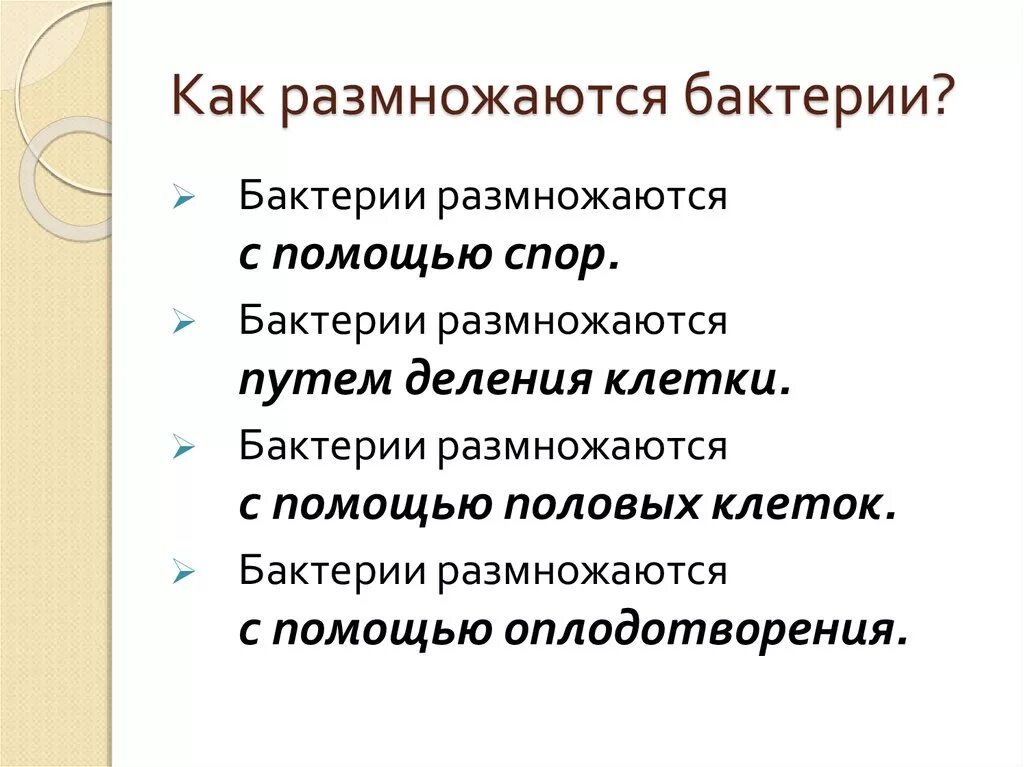 Какмразмножаюися бактерии. Ка кразмнажаются бактерии. Как размножаются бактерии. Как разминаются бактерии.