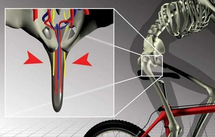 Велосипед простата. Велосипедные мышцы. Велосипед мышцы. Мышцы при езде на велосипеде. Мышцы задействованные при езде на велосипеде.