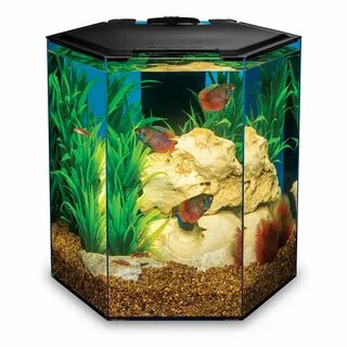 Marineland 5 gallon hexagon