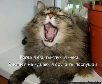 Низко пасть