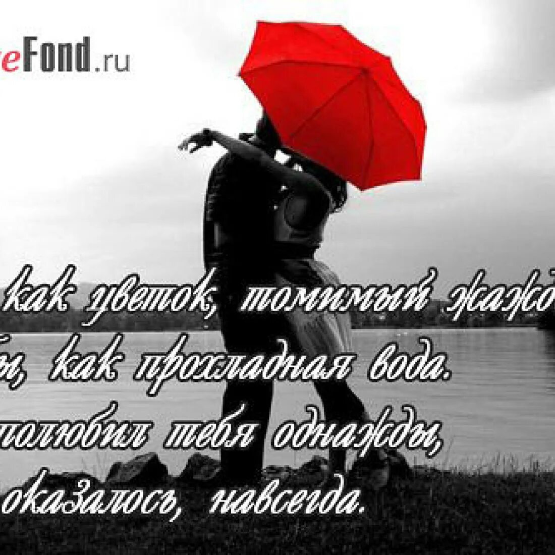 Открытка любимому. Красивые слова любимой девушке. Открытка любимой девушке. Признание в любви со смыслом девушке. Признание в любви со смыслом девушке.