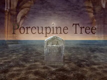Porcupine tree
