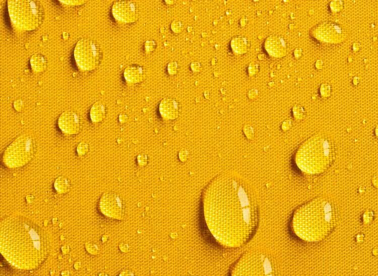 Цветок желтый в росе. Капли в желтом цвете. Желтые капли. Капли в желтом цвете. Капля макросъемка.