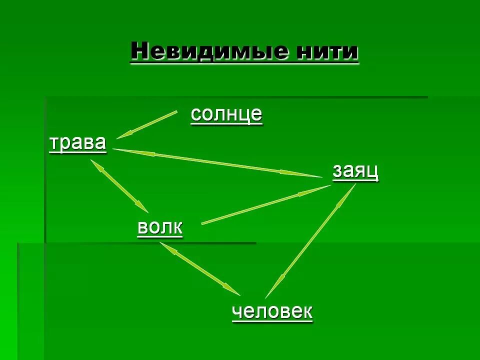 Невидимые нити в весеннем лесу примеры