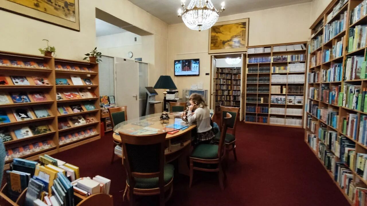 Дом бажанова. Центральная детская библиотека им. А. Библиотека им пушкина санкт петербург. Книж.