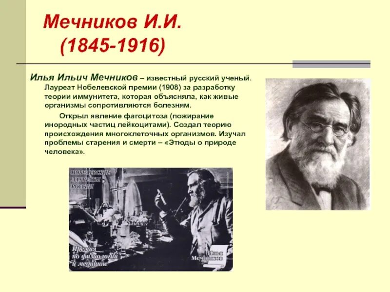 Мечников и.и. (1845-1916). Открытие советских ученых в области медицины