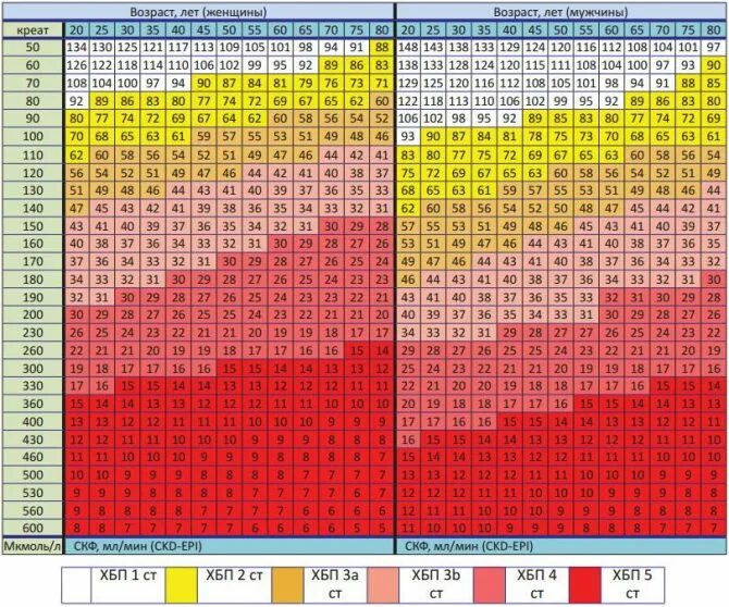 Таблица расчета скорости клубочковой фильтрации. Скорость клубочковой фильтрации таблица. Расчет СКФ таблица. Таблица скорости клубочковой фильтрации по креатинину. Хбп ckd epi
