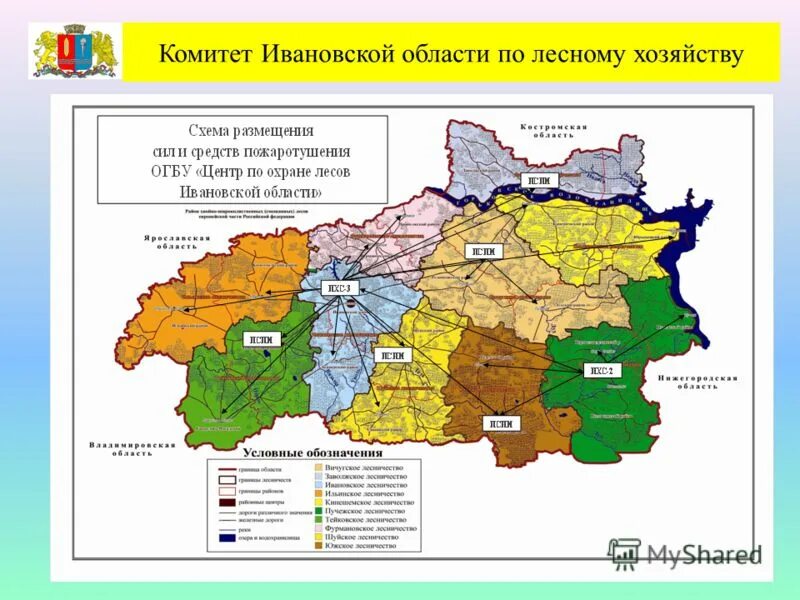 Карта лесного хозяйства Ивановской области. Карта почв Ивановской области подробная. Почвенная карта Ивановской области подробная. Карта схема лесов Ивановской области. Состав района ивановской области