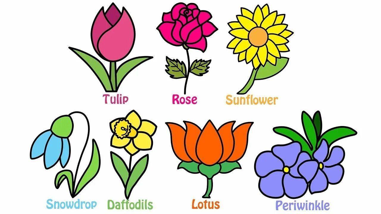 Цветок лексика. Цветочек рисунок. Нарисовать цветок с названием. Разные цветы рисунок для детей. Эмблема цветочек.