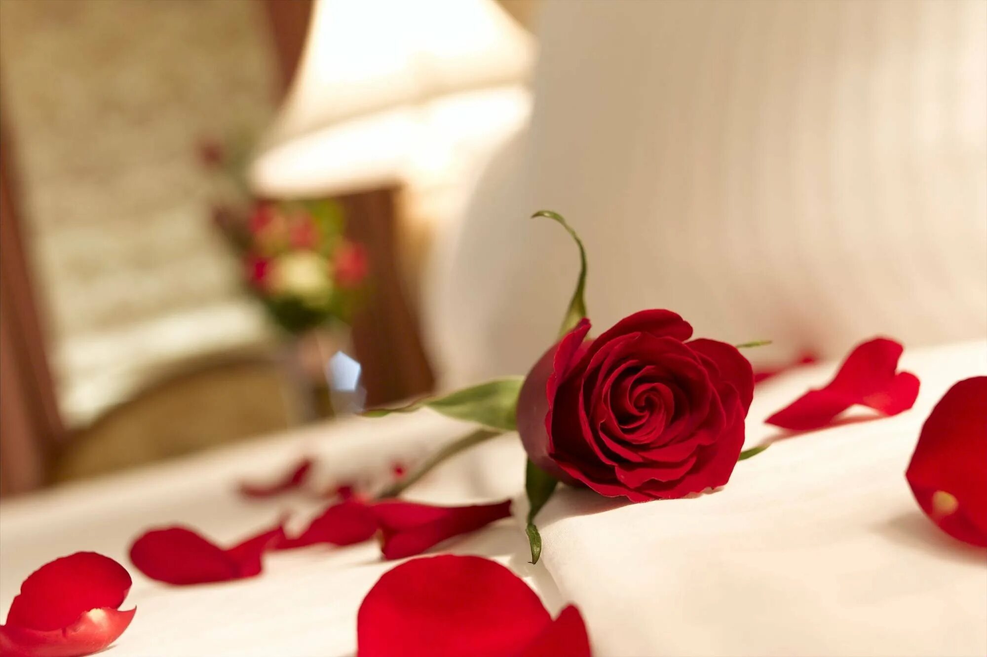 Rose romance. Цветы в постель. Красивые романтические цветы. Цветы лежат. Лепестки роз на постели.
