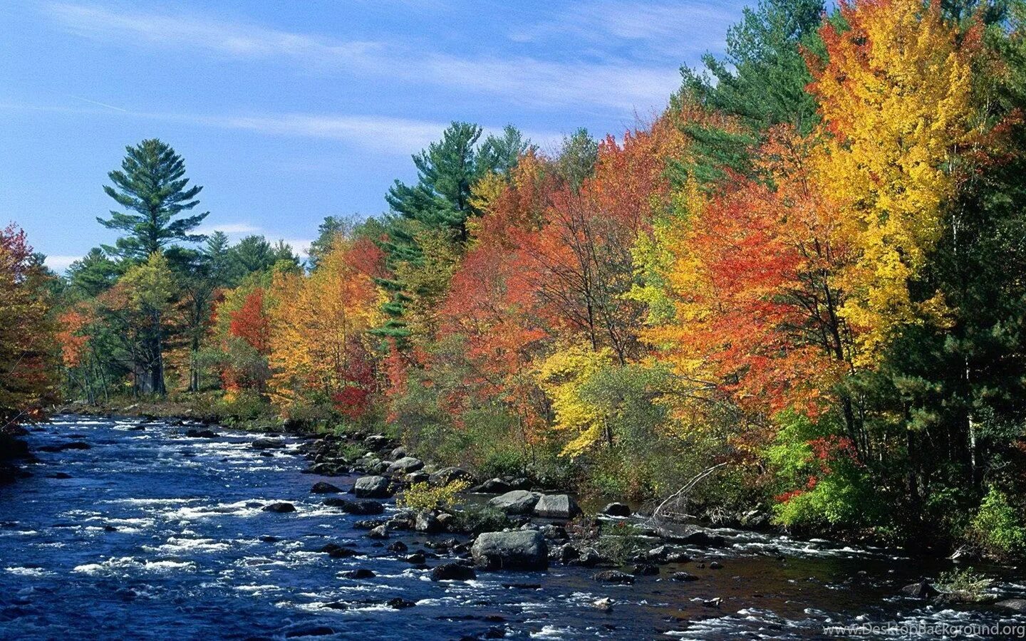 Золотая осень природа река. Река Тулва осень. Осенняя река. Река осенью.