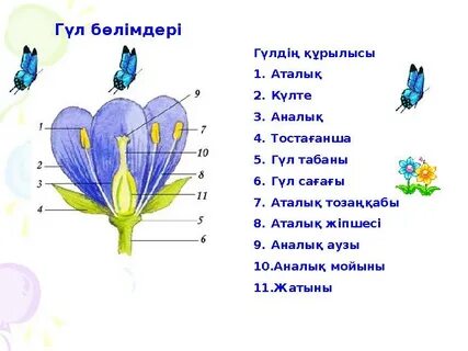 Тәжік тілінде секс көру