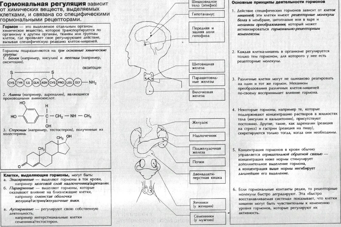 Егэ биология 8 задание. Шпаргалка ЕГЭ биология эндокринная система. Железы и гормоны ЕГЭ биология таблица. Задания по эндокринной системе. Гормоны таблица ЕГЭ.
