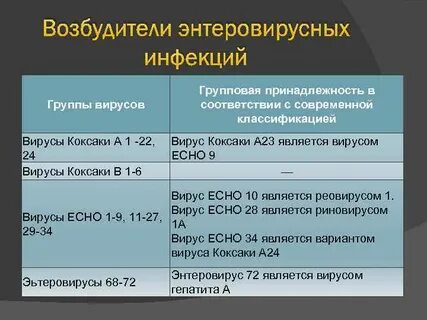 Энтеровирусные инфекции вызывают вирусы