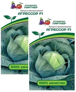 Капуста агрессор характеристика и описание