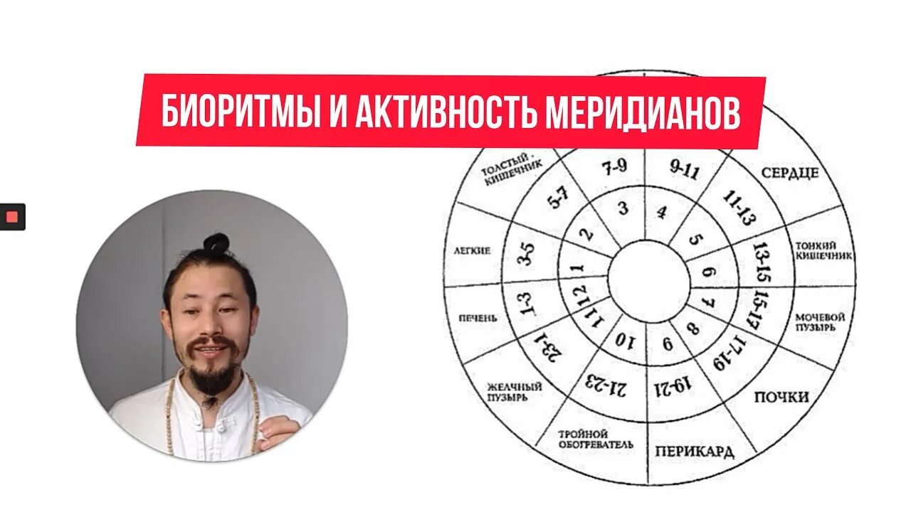 Биоритмы человека. Часы активности меридианов. Биоритмы в китайской медицине. Китайские часы меридианов.