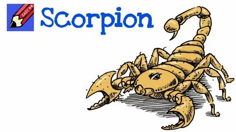 Скорпион 40
