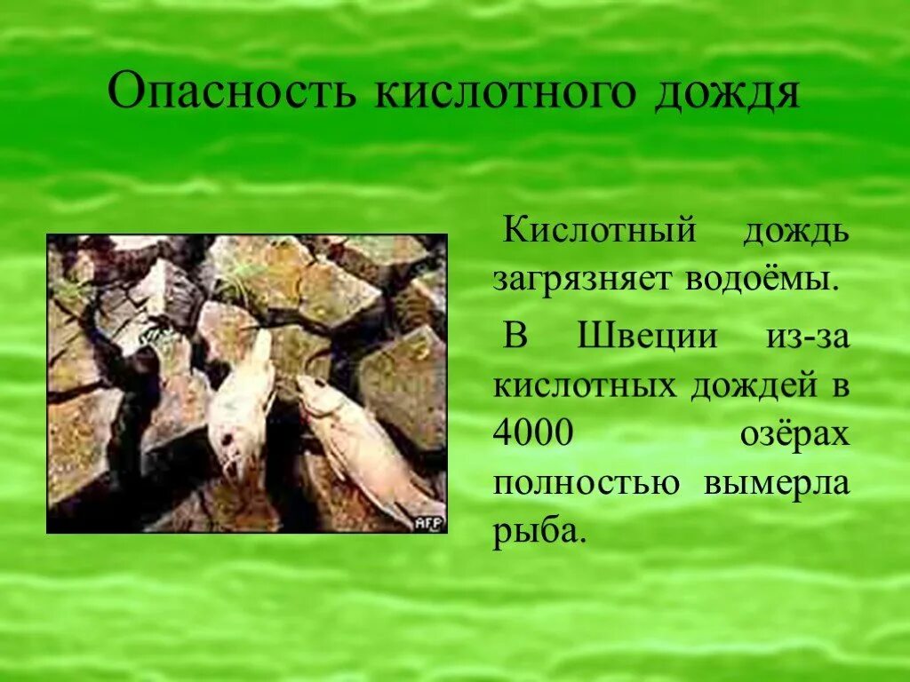 Что такое кислотный дождь кратко. Кислотные дожди презентация. Презентация на тему кислотные осадки. Презентация на тему кислотные дожди. Проект на тему кислотные дожди.