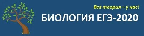 Решу егэ биология экология
