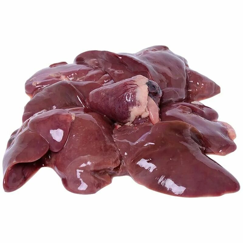 куриная печень и желудки. куриная печень и желудки. блюда из куриных желудков. куриная печень вареная. печень желудки сердце куриные.