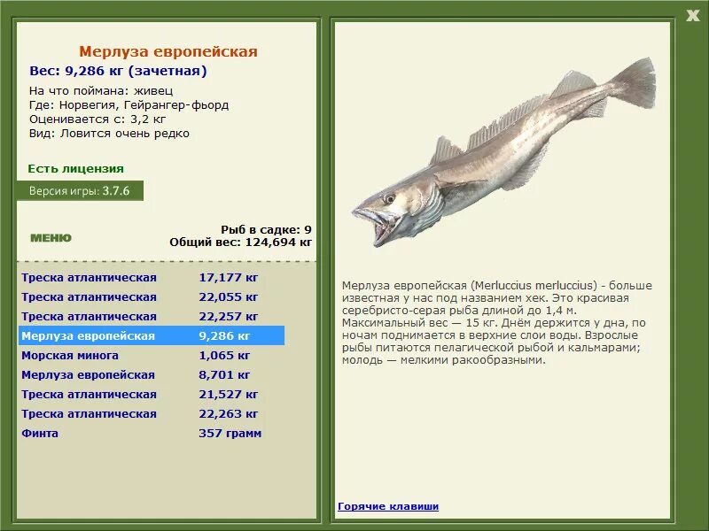 красная тригла. петух русской рыбалки. петух русской рыбалки. русская рыбалка 1. морской петух вес.