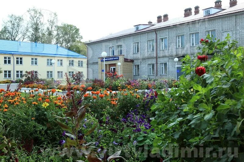 муромская поликлиника детская. чуз клиническая больница ржд-медицина города муром. муром центральная районная больница. адрес больницы муром. муромская городская больница №3.