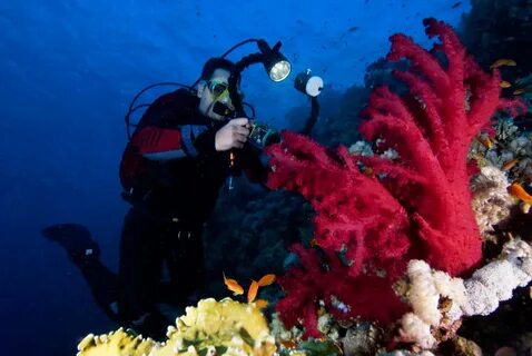 Красное море сегодня