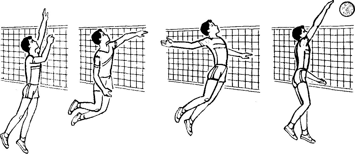 Упражнения для подачи в волейболе. Волейбол приемы техники и тактика игры. Волейбол стойка перемещение волейболиста. Техника игры нападающего в волейбол. Волейбол техника перемещений и стоек в волейболе.