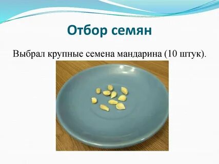 Отбор семян