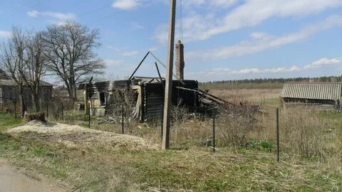 Погода волосовском районе