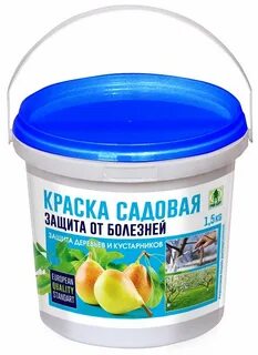 Белим деревья акриловой краской