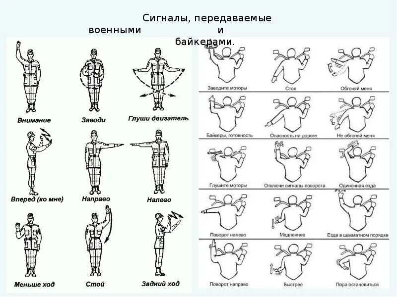 Сигналы управления автомобилем. Сигналы управления флажками. Сигналы и жесты управления. Сигналы управления машиной. Сигналы озп