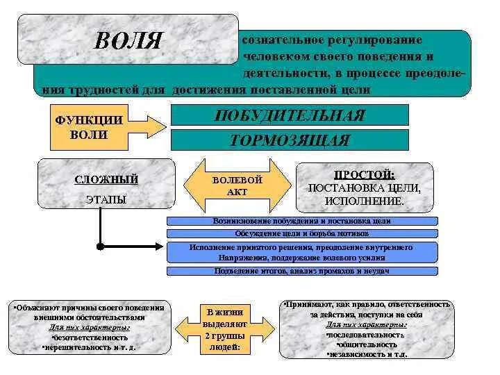 Характеристика воли человека. Понятие воли в психологии. Схема волевых процессов. Воля психический процесс. Волевые процессы понятие.