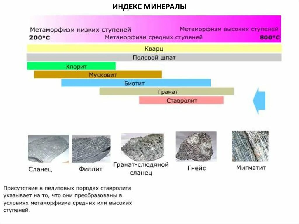 Минералы индикаторы для метаморфических пород. Метамлорфическиегорные породы минералов. Метаморфические горные породы минералы. Минералы характерные для метаморфических пород. Метаморфические горные породы 5 класс география