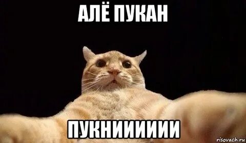 Много пукаю