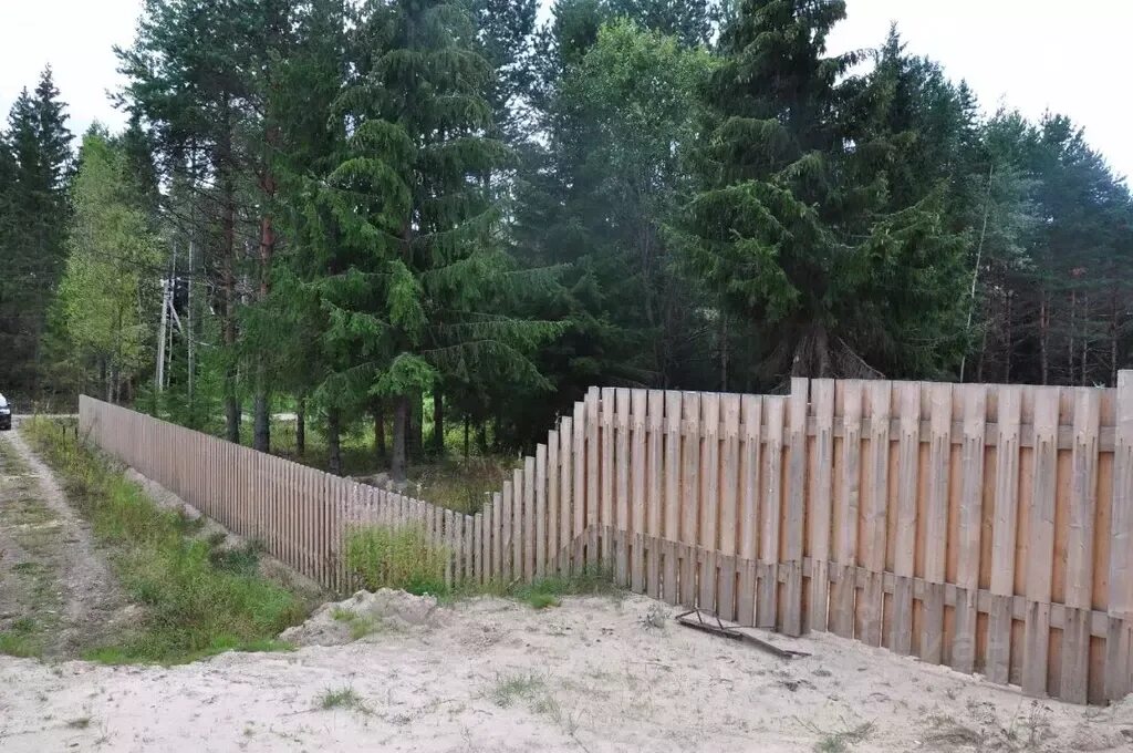 Волхов вид сверху. Старая ладога село чернавино. Волхановский район днр. Волховский (посёлок). Чернавино волховский район.