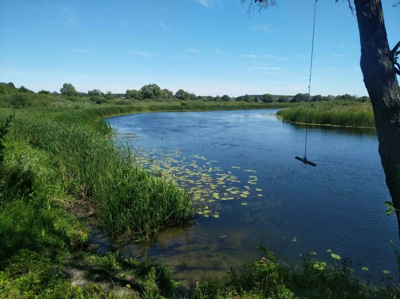 Река Воронеж Рамонь. Рамонь речка Воронеж. Рамонь река. Река Инютинка Воронеж.