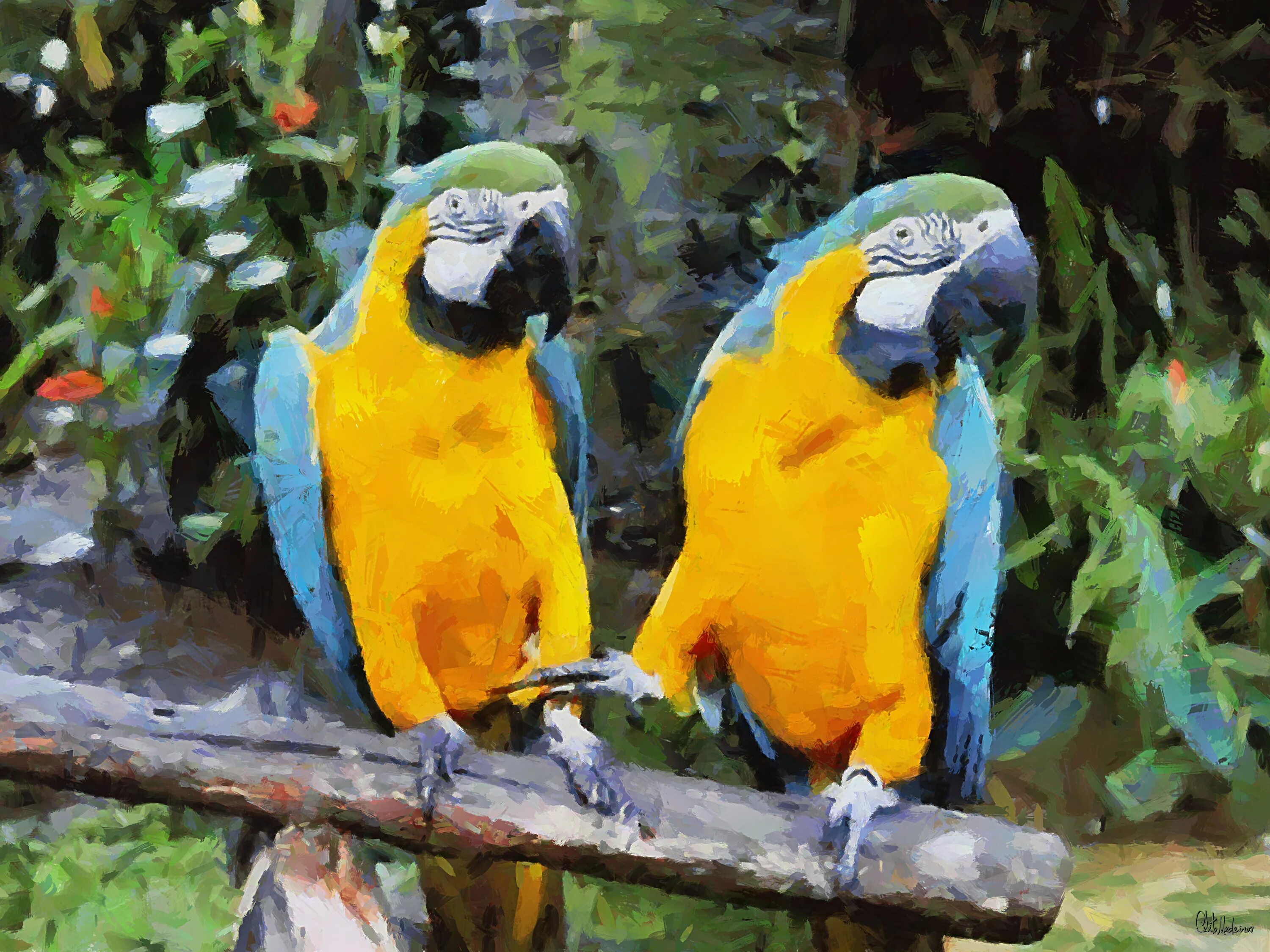 В зоопарке живут 5 видов попугаев. Сине-желтый ара (арарауна). Попугай ара. Попугай ара сине-жёлтый (Ara ararauna). Попугай ара синеголовый.