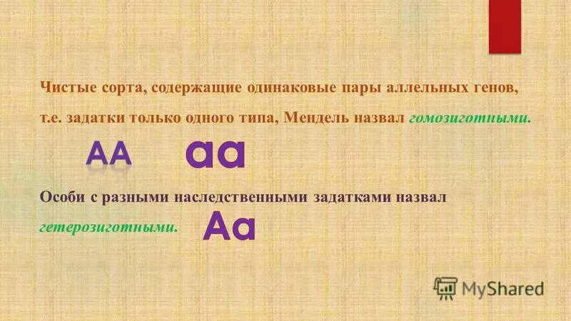 Организм содержащий два одинаковых аллельных гена. Генетические термины биология 9 класс. Организм содержащий аллельные гены. Организм содержащий аллельные гены. Организм в генотипе которого имеются два одинаковых аллельных гена.