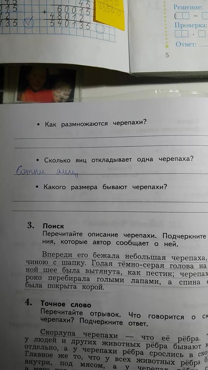 Черепаха отгадка. Черепашки происхождение. Признак слова черепах. Доклад про черепаху. Черепаха отгадка.