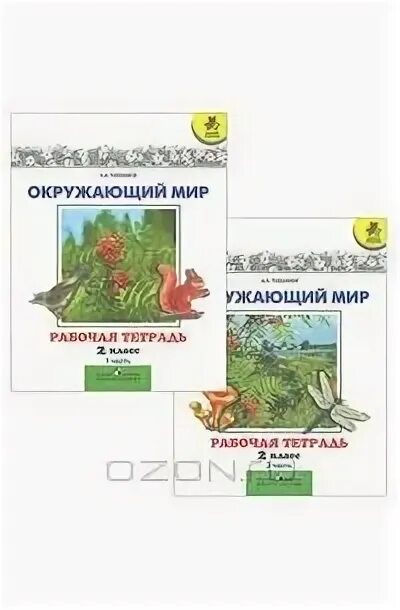 Окружающий мир плешаков рабочая программа 2. Окружающий мир плешаков рабочая программа 2