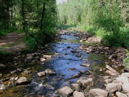 Вода златоуст