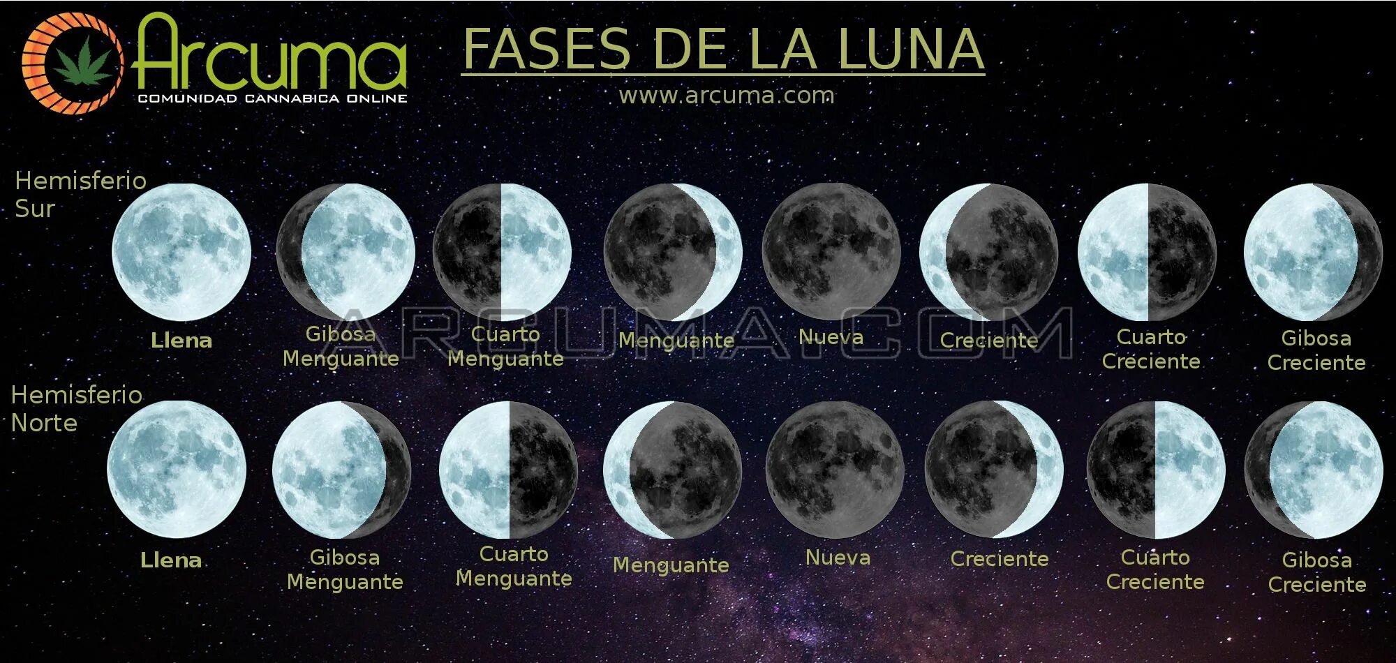 La luna falsa на русском. Moon phases. WRS la Luna. Луна Лады. Luna Старая модель.