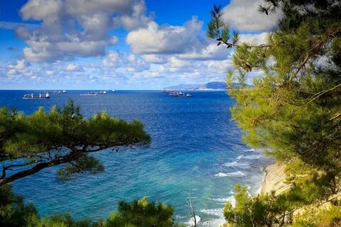 Центр побережья черного моря
