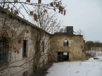 Погода в новой ропше