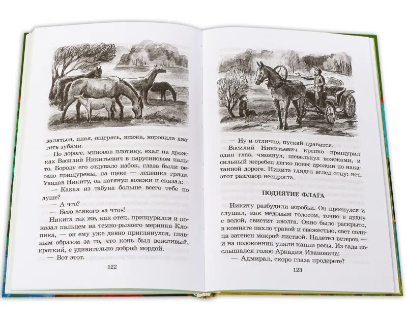 Детство Никиты. Рассказ детство Никиты. Детство Никиты иллюстрации. Толстой детство Никиты план.