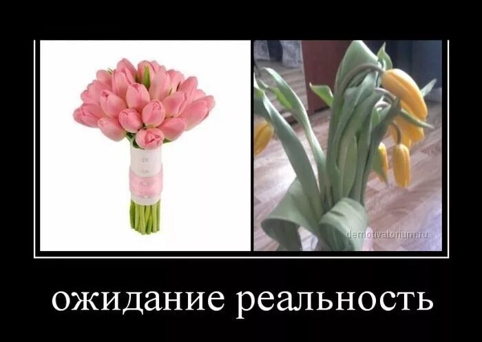 Подарил цветы прикол. Тюльпаны ожидание и реальность. Шутки про букеты цветов. Цветы ожидание и реальность. Демотиватор тюльпаны.